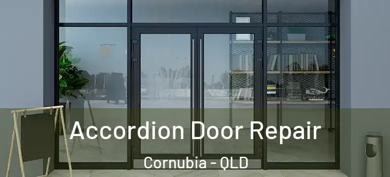  Accordion Door Repair Cornubia - QLD