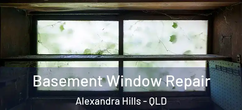  Basement Window Repair Alexandra Hills - QLD
