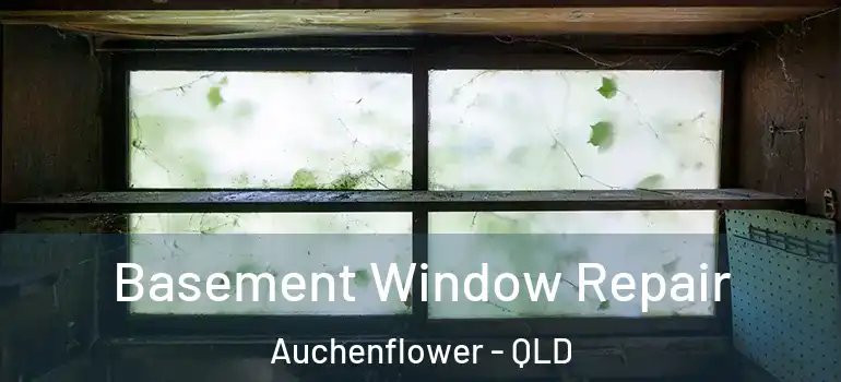  Basement Window Repair Auchenflower - QLD