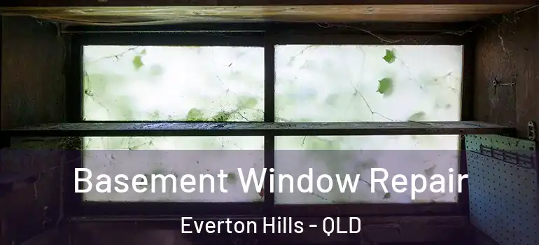  Basement Window Repair Everton Hills - QLD