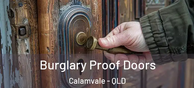  Burglary Proof Doors Calamvale - QLD