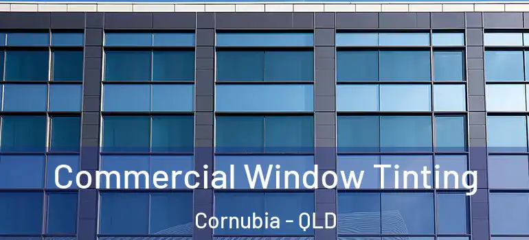  Commercial Window Tinting Cornubia - QLD