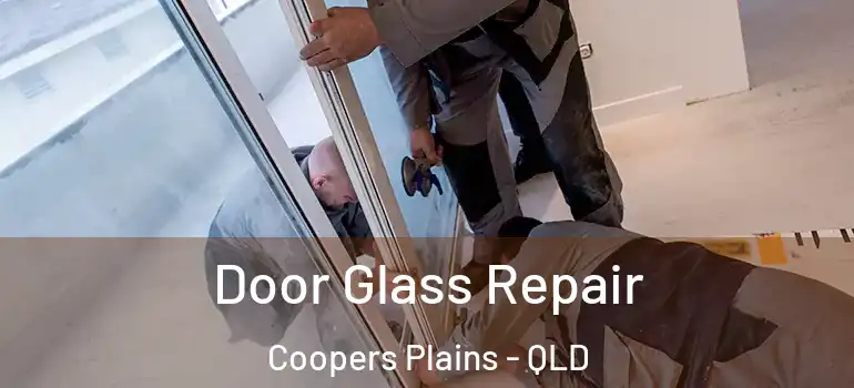  Door Glass Repair Coopers Plains - QLD