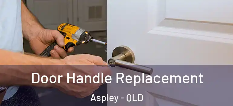  Door Handle Replacement Aspley - QLD