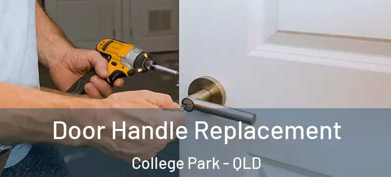  Door Handle Replacement College Park - QLD