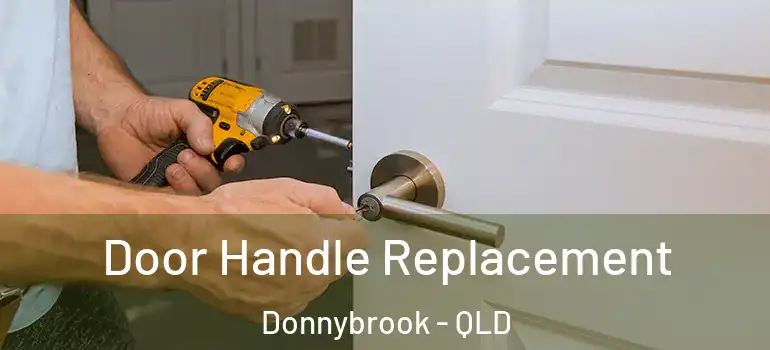  Door Handle Replacement Donnybrook - QLD