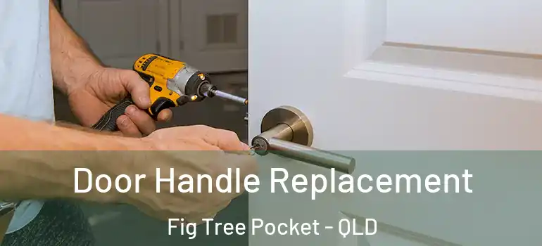  Door Handle Replacement Fig Tree Pocket - QLD