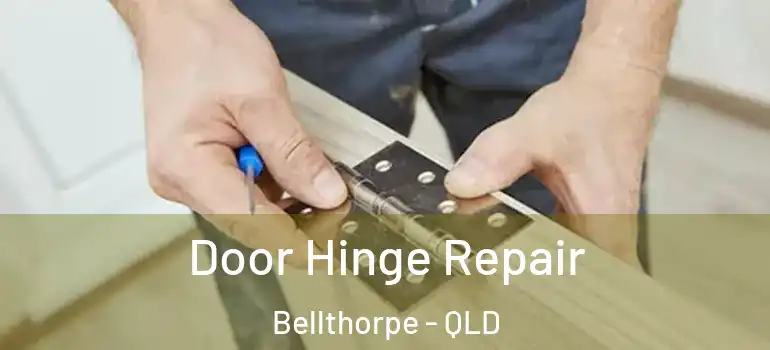  Door Hinge Repair Bellthorpe - QLD