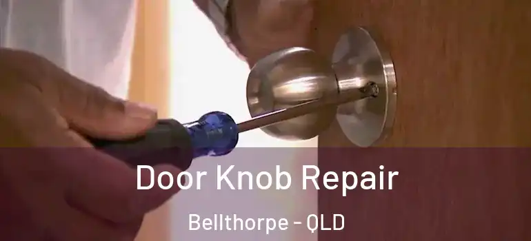  Door Knob Repair Bellthorpe - QLD