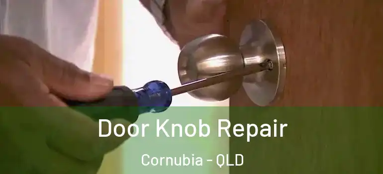  Door Knob Repair Cornubia - QLD
