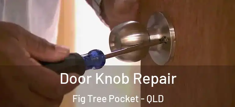  Door Knob Repair Fig Tree Pocket - QLD