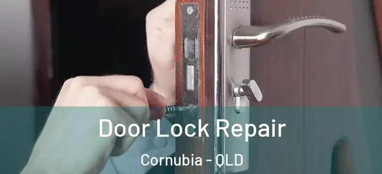  Door Lock Repair Cornubia - QLD
