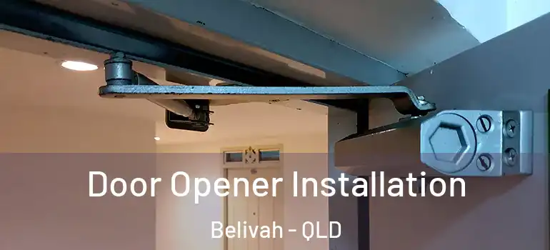  Door Opener Installation Belivah - QLD