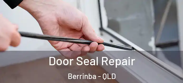  Door Seal Repair Berrinba - QLD