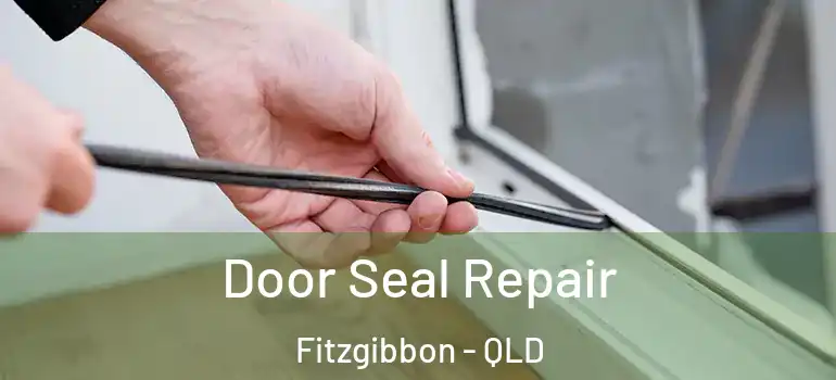  Door Seal Repair Fitzgibbon - QLD