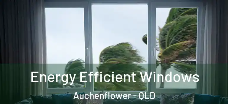 Energy Efficient Windows Auchenflower - QLD
