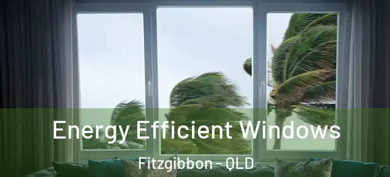  Energy Efficient Windows Fitzgibbon - QLD