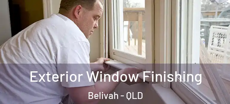  Exterior Window Finishing Belivah - QLD