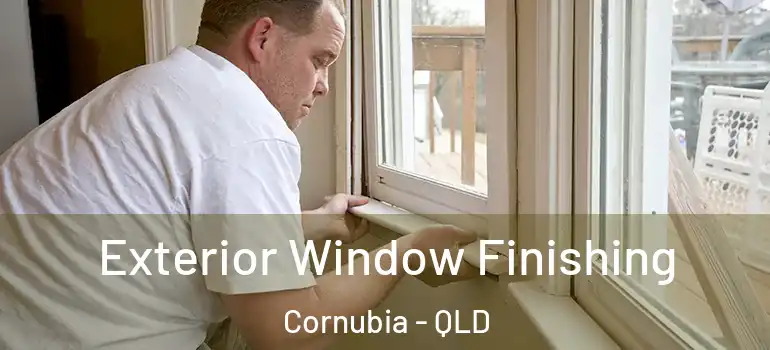  Exterior Window Finishing Cornubia - QLD