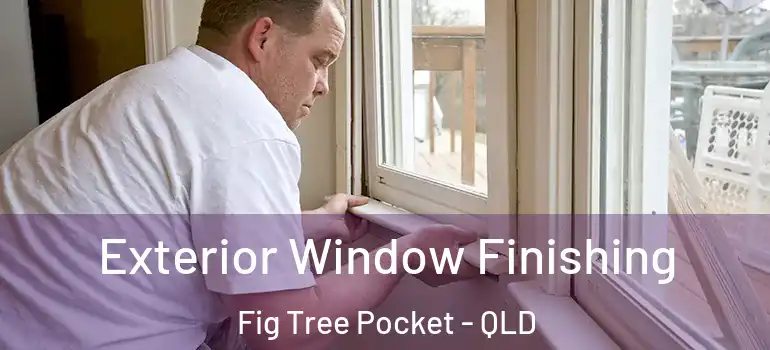  Exterior Window Finishing Fig Tree Pocket - QLD