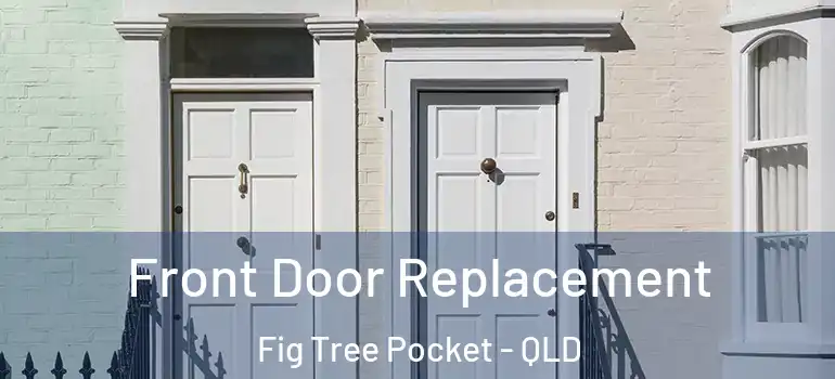  Front Door Replacement Fig Tree Pocket - QLD