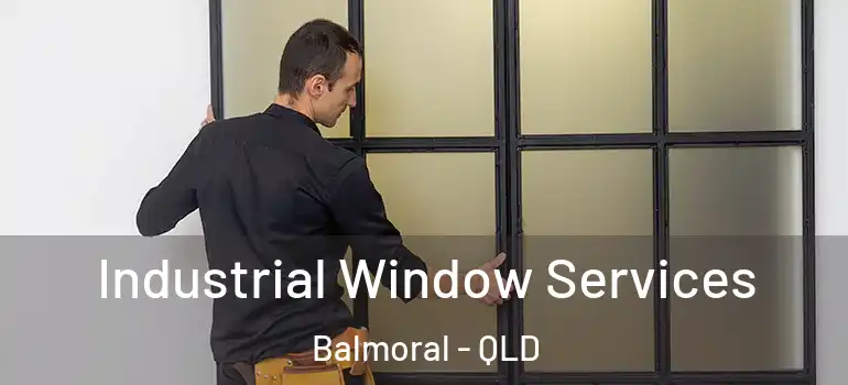  Industrial Window Services Balmoral - QLD
