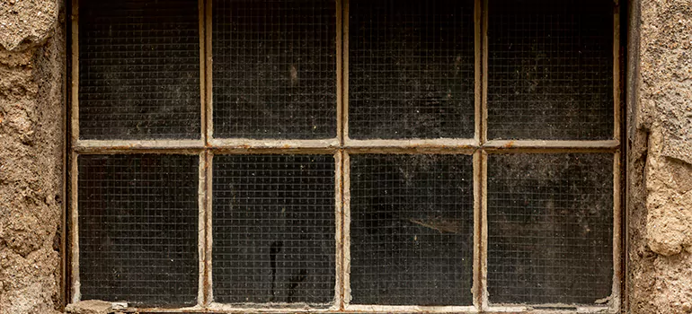 Traditional Double Front Doors in Brisbane, Queensland