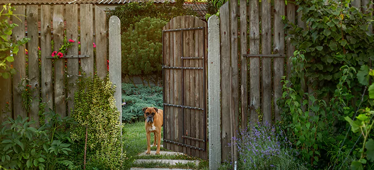 Winter Garden Garage Door Repair in Brisbane,Queensland