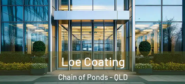 Loe Coating Chain of Ponds - QLD