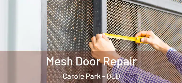  Mesh Door Repair Carole Park - QLD