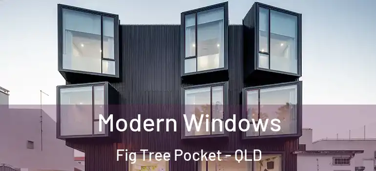  Modern Windows Fig Tree Pocket - QLD