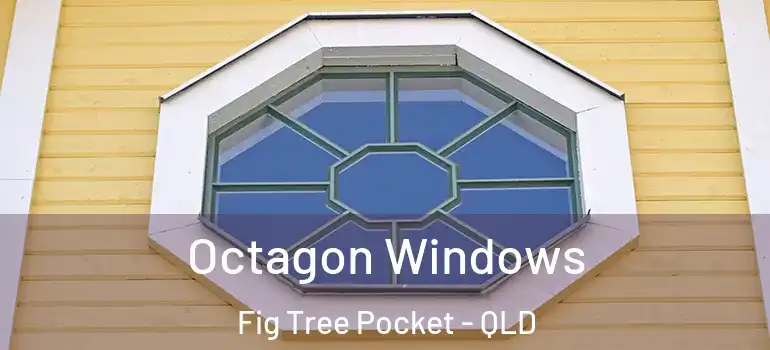  Octagon Windows Fig Tree Pocket - QLD