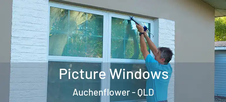  Picture Windows Auchenflower - QLD