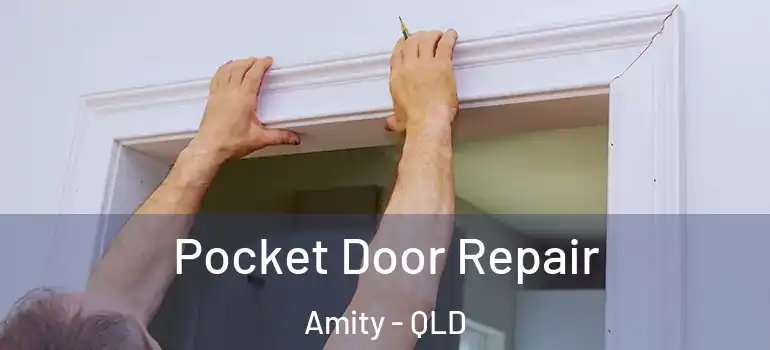  Pocket Door Repair Amity - QLD