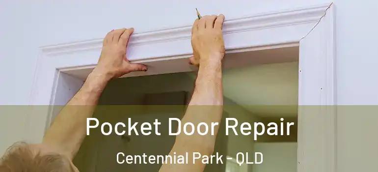  Pocket Door Repair Centennial Park - QLD