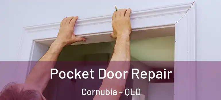  Pocket Door Repair Cornubia - QLD