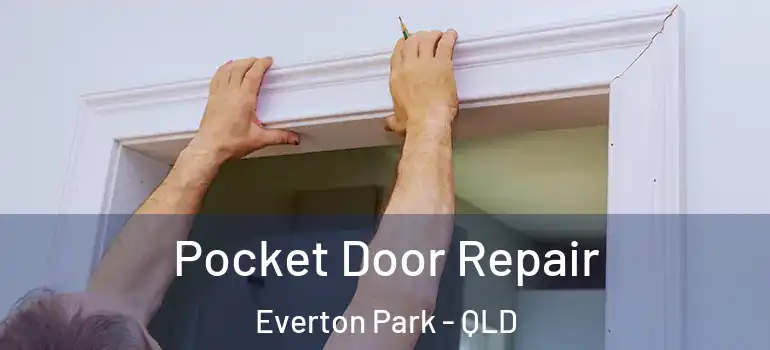  Pocket Door Repair Everton Park - QLD