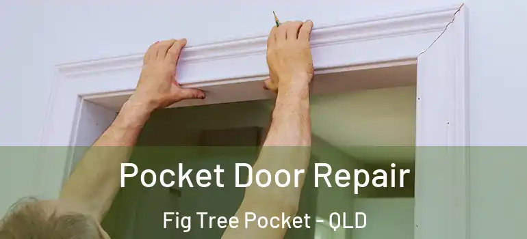  Pocket Door Repair Fig Tree Pocket - QLD