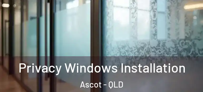  Privacy Windows Installation Ascot - QLD