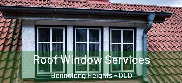  Roof Window Services Bennelong Heights - QLD