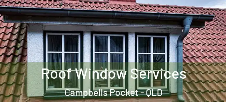  Roof Window Services Campbells Pocket - QLD