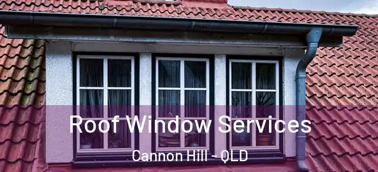  Roof Window Services Cannon Hill - QLD