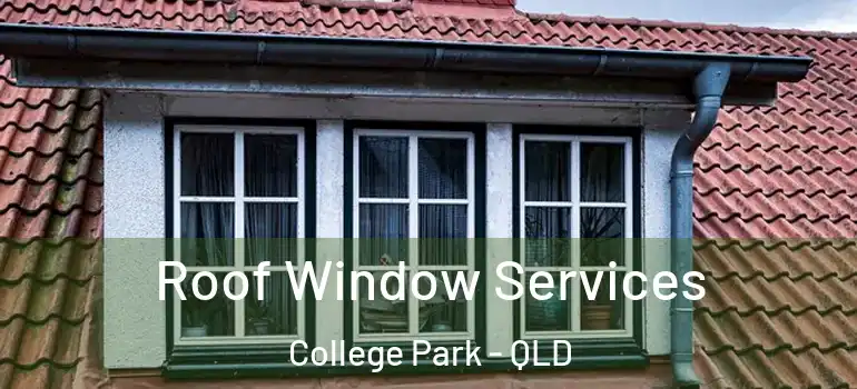  Roof Window Services College Park - QLD
