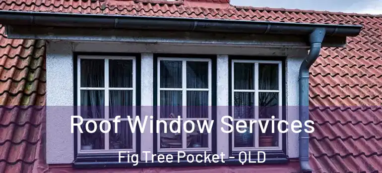  Roof Window Services Fig Tree Pocket - QLD
