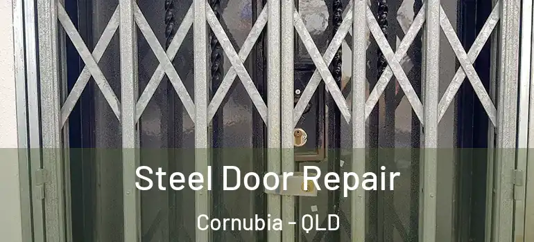  Steel Door Repair Cornubia - QLD