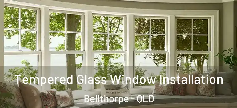  Tempered Glass Window Installation Bellthorpe - QLD