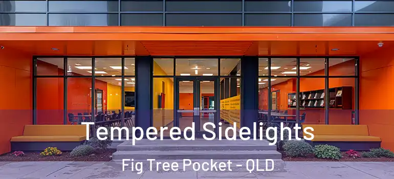  Tempered Sidelights Fig Tree Pocket - QLD