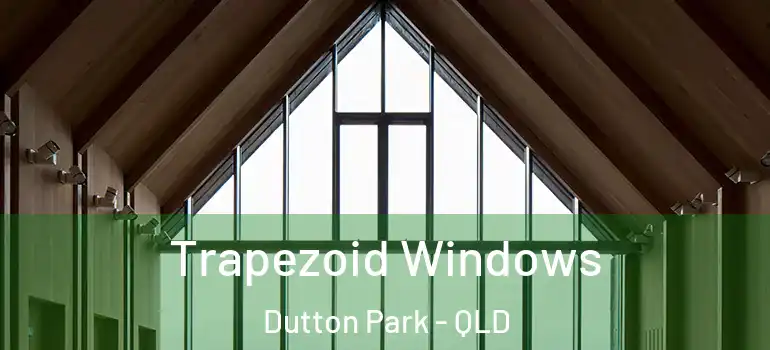  Trapezoid Windows Dutton Park - QLD