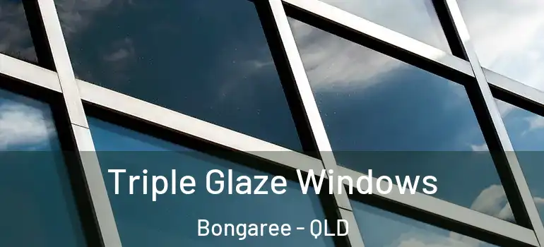  Triple Glaze Windows Bongaree - QLD