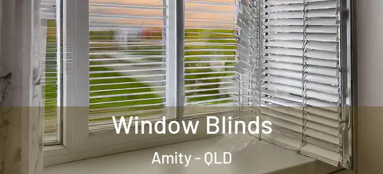  Window Blinds Amity - QLD